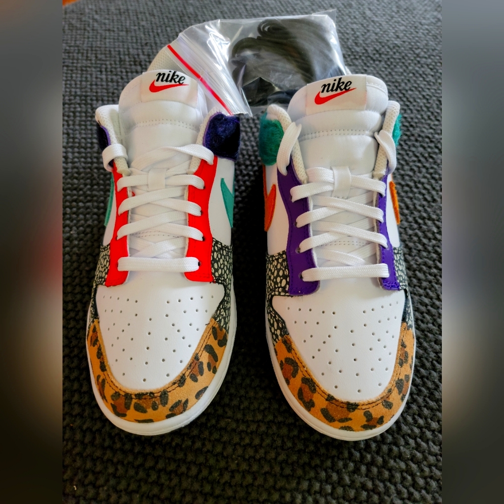 Nike Dunk low multi-color.